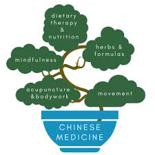 graphic illustrating elements of chinese medicine